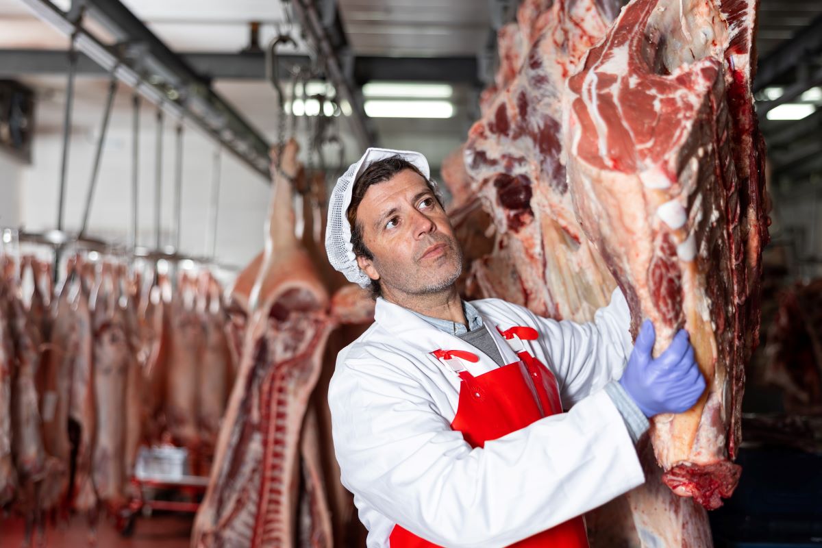 New Zealand - Halal Slaughterer